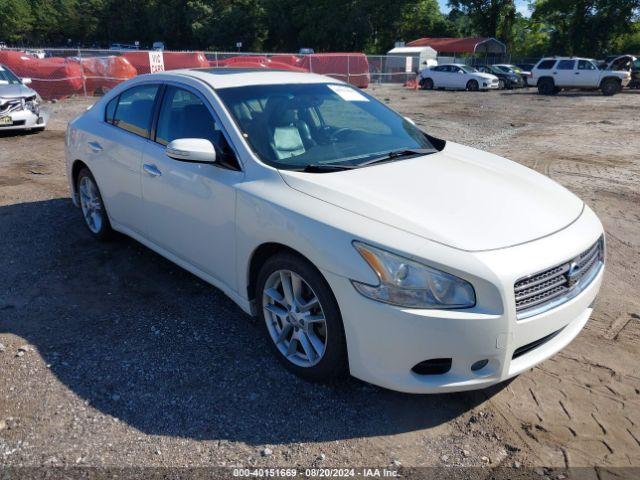  Salvage Nissan Maxima