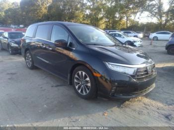  Salvage Honda Odyssey