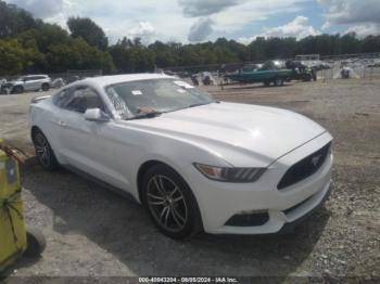  Salvage Ford Mustang