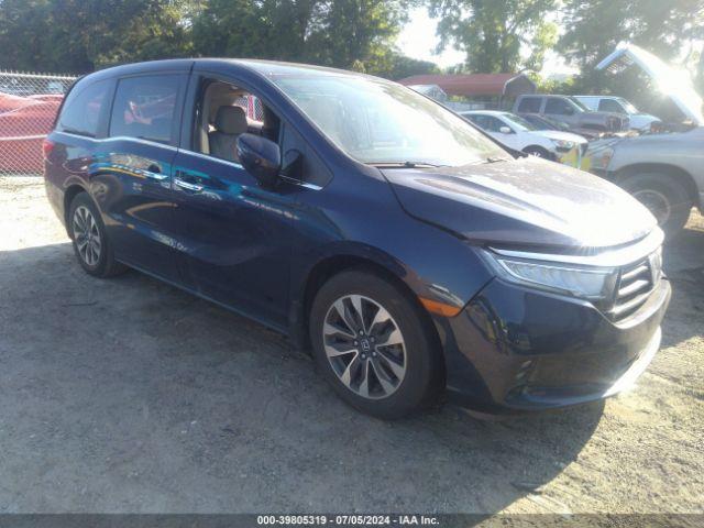  Salvage Honda Odyssey