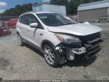  Salvage Ford Escape