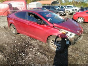  Salvage Hyundai ELANTRA