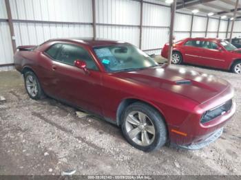  Salvage Dodge Challenger