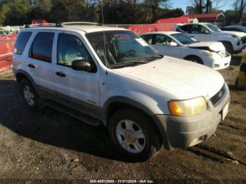  Salvage Ford Escape