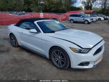  Salvage Ford Mustang