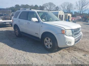  Salvage Ford Escape