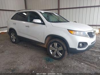  Salvage Kia Sorento