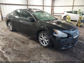  Salvage Nissan Maxima