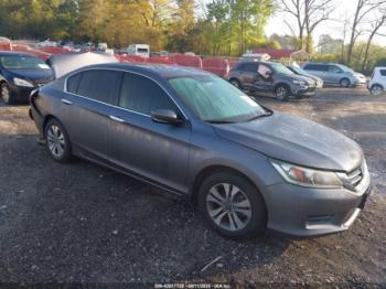  Salvage Honda Accord