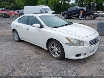  Salvage Nissan Maxima