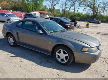 Salvage Ford Mustang
