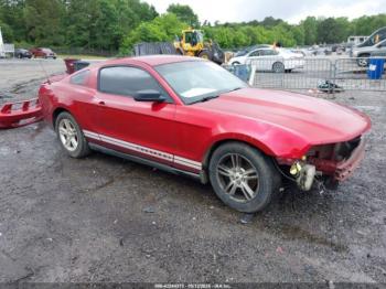  Salvage Ford Mustang