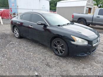  Salvage Nissan Maxima