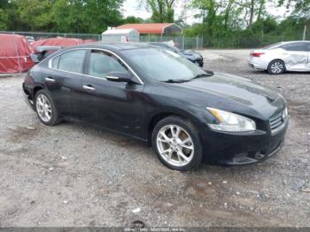  Salvage Nissan Maxima