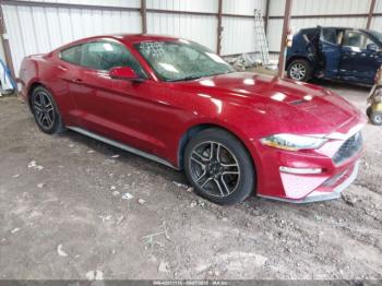  Salvage Ford Mustang