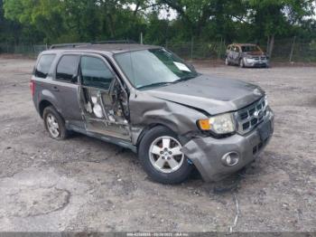  Salvage Ford Escape
