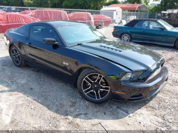  Salvage Ford Mustang
