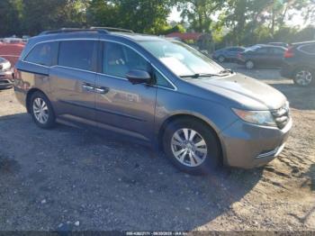  Salvage Honda Odyssey