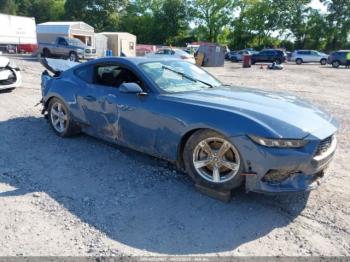  Salvage Ford Mustang