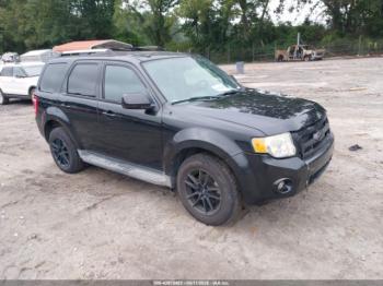  Salvage Ford Escape