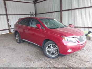  Salvage Lexus RX