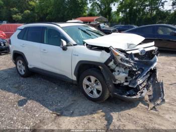  Salvage Toyota RAV4