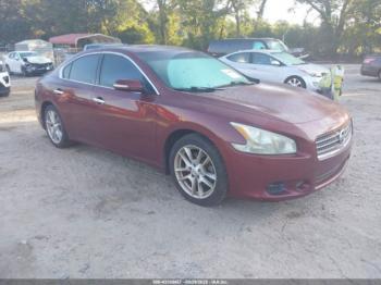 Salvage Nissan Maxima