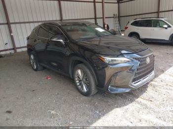  Salvage Lexus NX