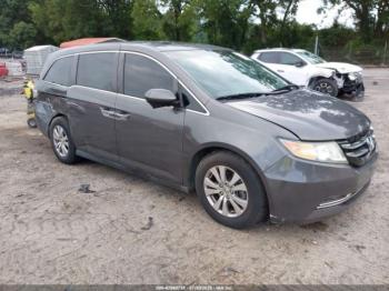  Salvage Honda Odyssey