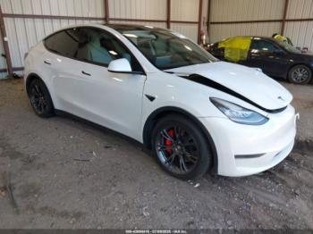  Salvage Tesla Model Y