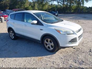  Salvage Ford Escape