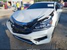 Honda Accord Ex-l Image 8