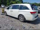 Honda Odyssey Ex-l Image 10