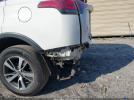 Toyota RAV4 Xle Image 5