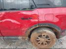 Ford Bronco Big Bend Image 2