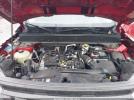 Ford Bronco Big Bend Image 5