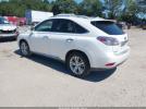 Lexus RX Image 5