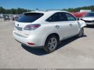 Lexus RX Image 7