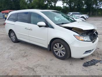  Salvage Honda Odyssey