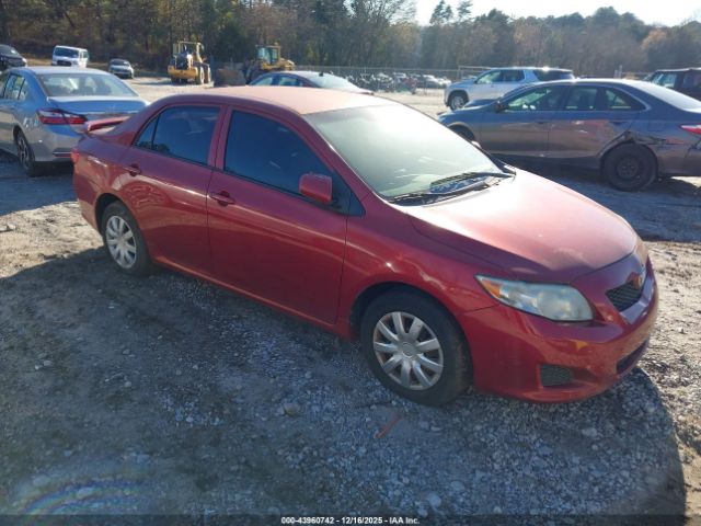 Toyota Corolla Le Image 1