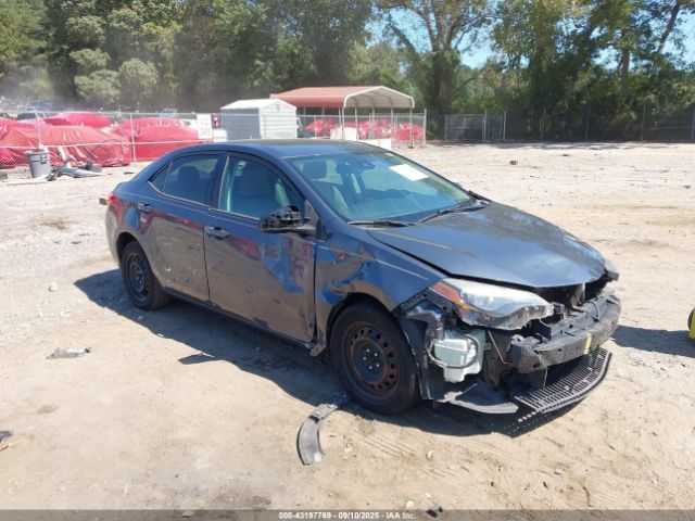 Toyota Corolla Le Image 1